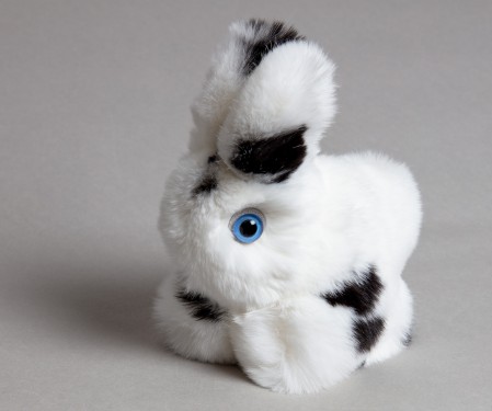 108 Hase Rex 32.00 Fr.